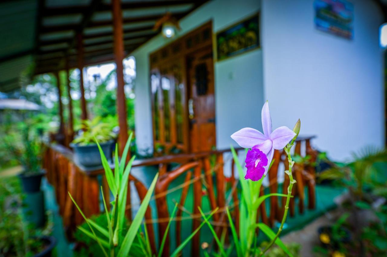 Astral Zone Cottage Элла Экстерьер фото